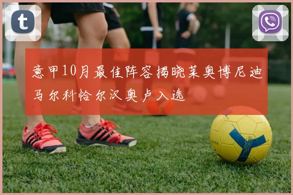 意甲10月最佳阵容揭晓莱奥博尼迪马尔科恰尔汉奥卢入选